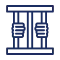 Felony Defense